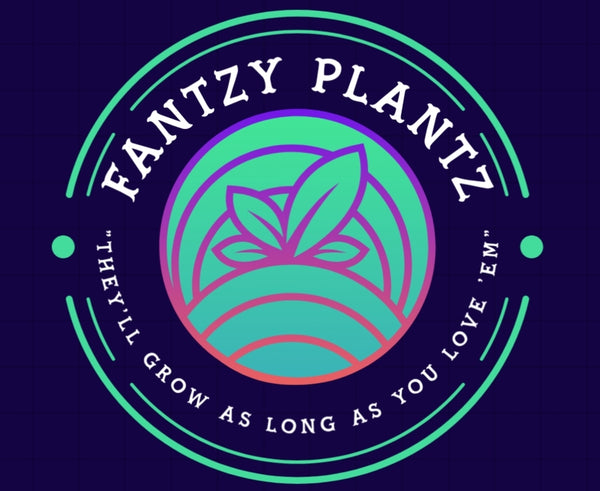 Fantzyplantz